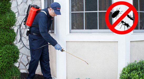 Diyadin Kemirgen İlaçlama böcek ilaçlama ve haşere kontrolü — ilaclama-tr.com